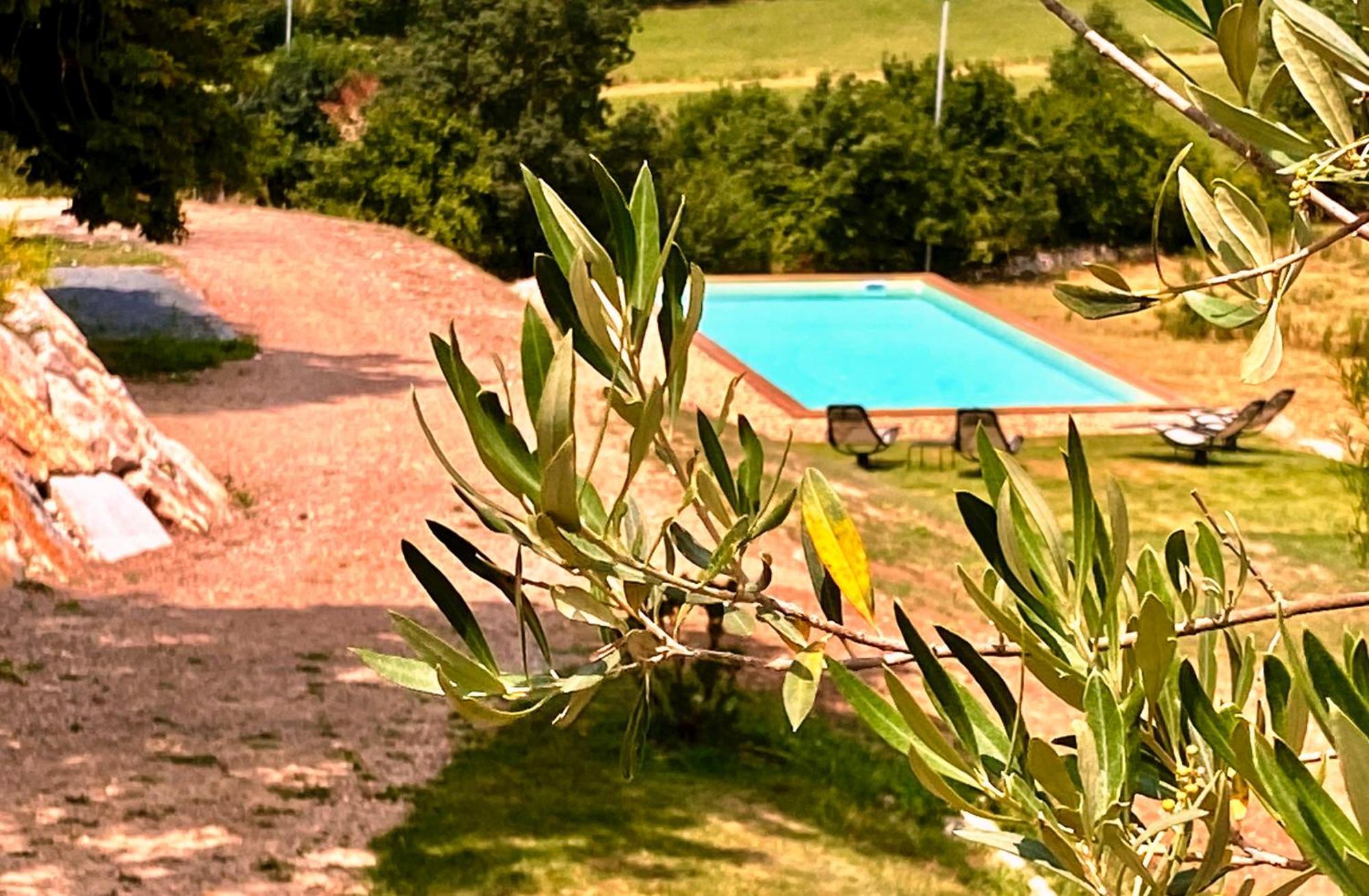 Domaine De Lejos - Portes D'Albi Lamillarié Exterior foto